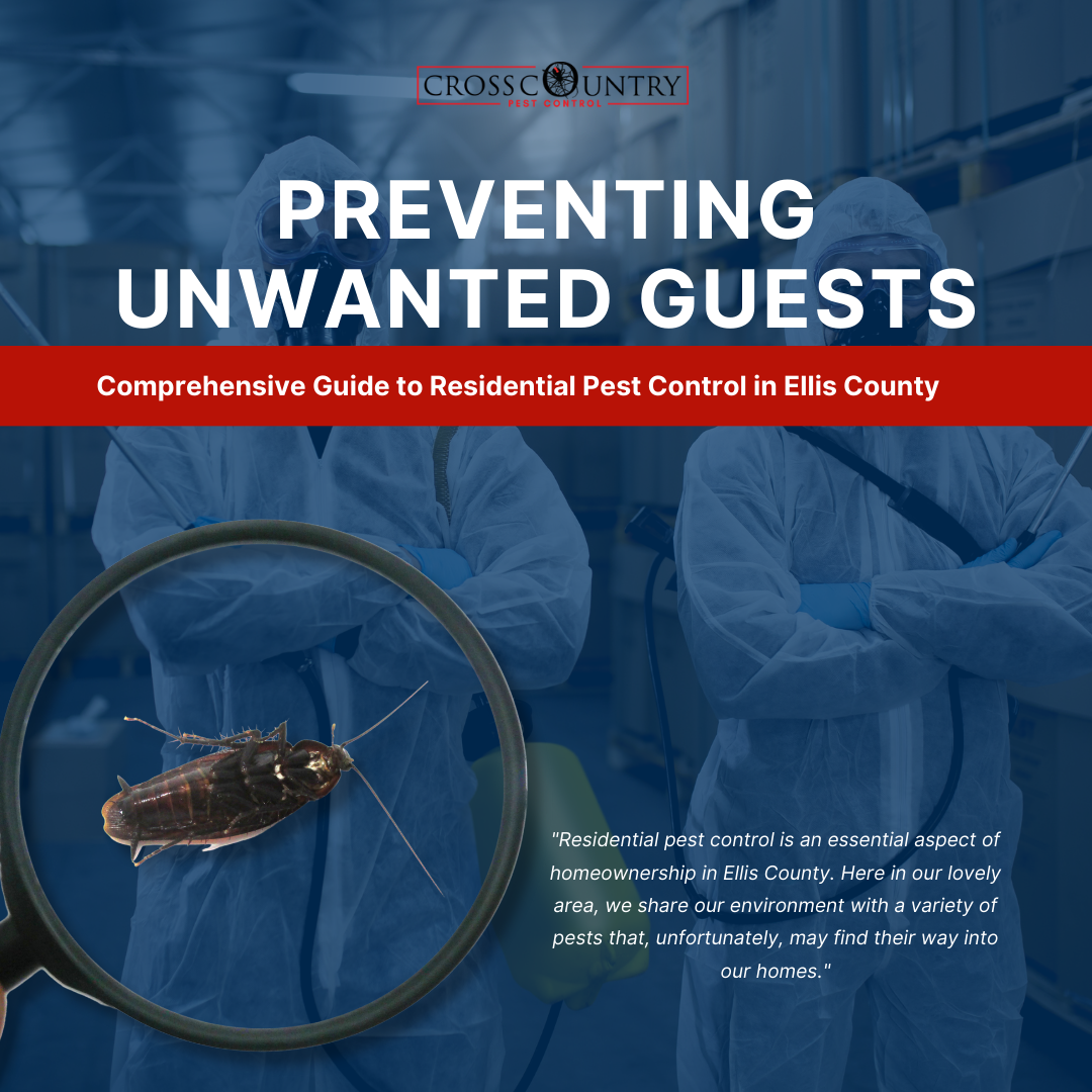 Preventing Unwanted Guests: Comprehensive Guide to Residential Pest Control in Ellis County