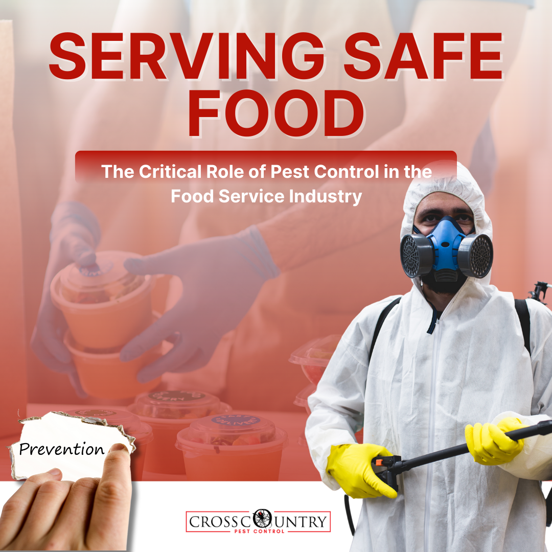 Serving Safe Food: The Critical Role Of Pest Control In The Food Service Industry