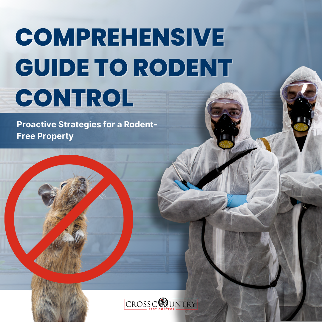Comprehensive Guide To Rodent Control: Proactive Strategies For A Rodent-Free Property