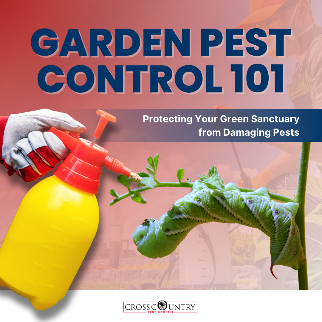 Garden Pest Control 101: Protecting Your Green Sanctuary From Damaging Pests