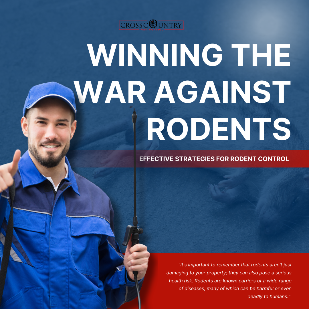 Winning The War Against Rodents: Effective Strategies for Rodent Control