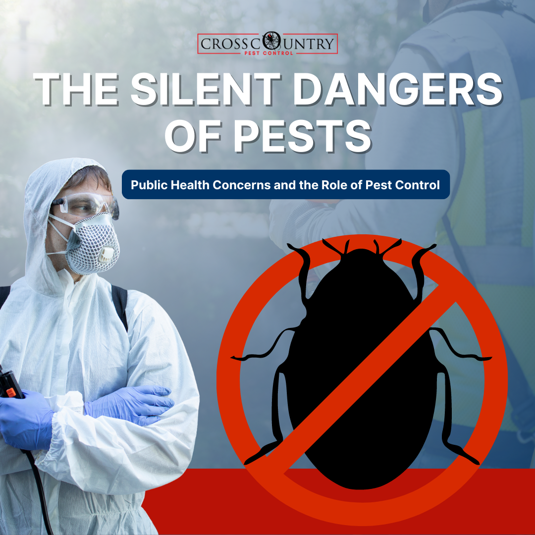 The Silent Dangers Of Pests: Public Health Concerns And The Role of Pest Control