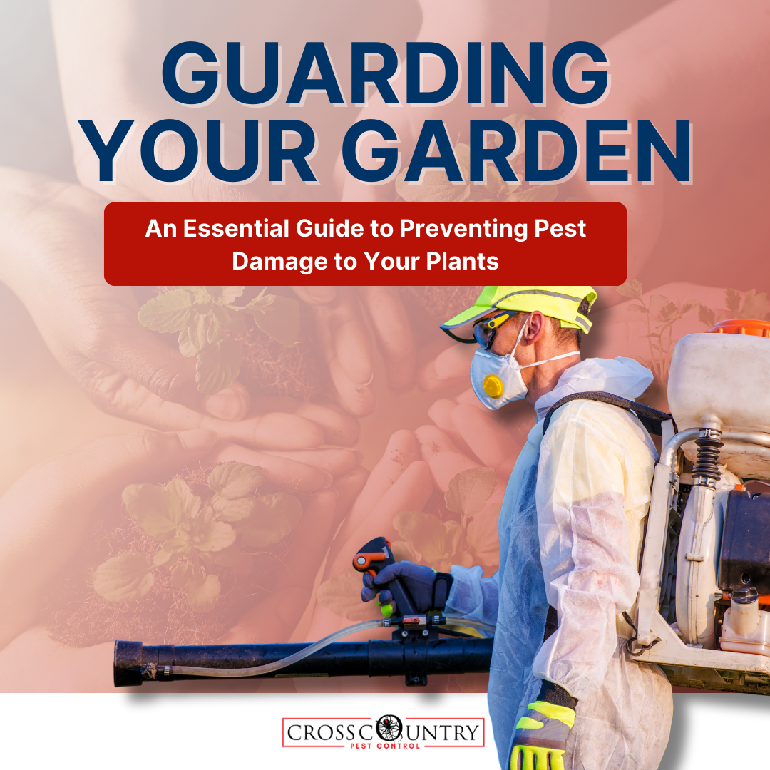 Guarding Your Garden: An Essential Guide To Preventing Pest Damage To Your Plants
