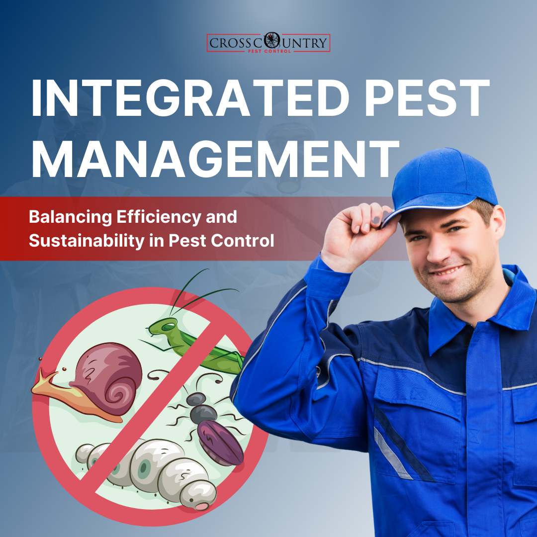 Integrated Pest Management: Balancing Efficiency And Sustainability In Pest Control